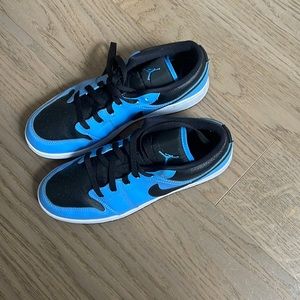 North Carolina blue Jordan Dunks